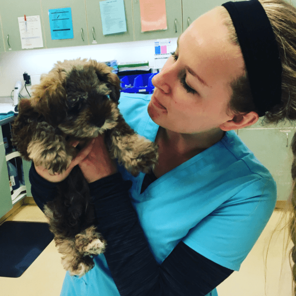 new puppy vet visit