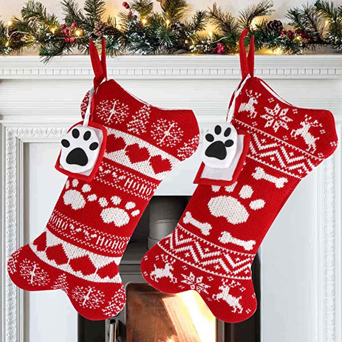 65+ Best Dog Christmas Gifts for Dogs and Their Person 2021