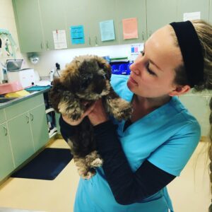 Veterinary Assistant Requirements What You Need To Be Know Before   Veterinary Assistant Duties 300x300 