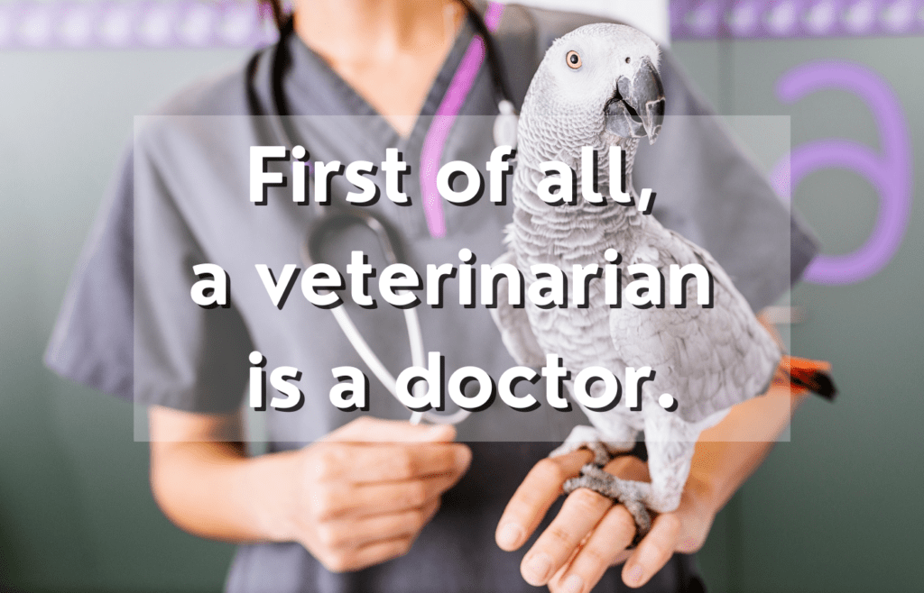 Am I Smart Enough To Be A Vet