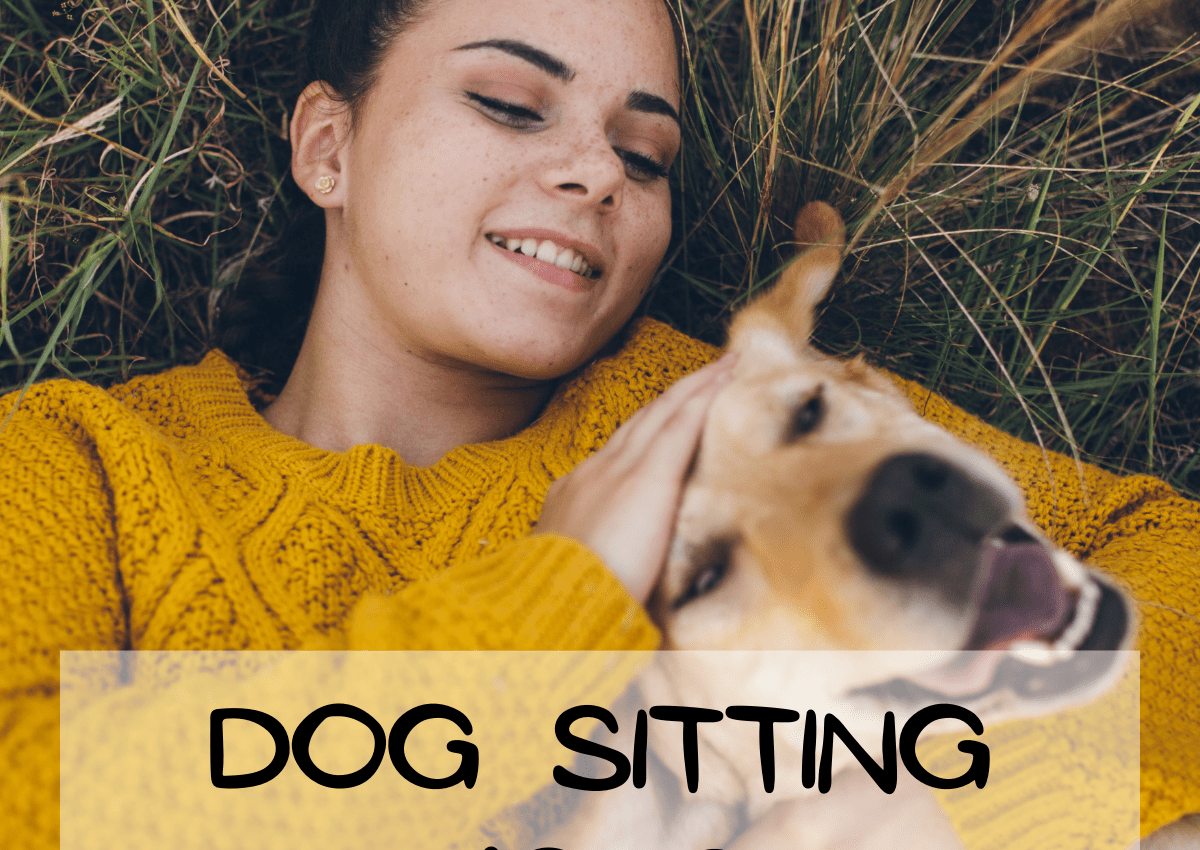 Dog Sitting Jobs | How I Made $920 in a Week of Pet Sitting