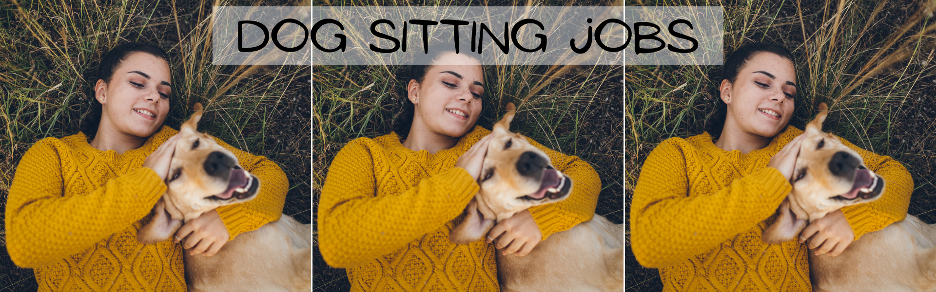 Dog Sitting Jobs How I Made 920 in a Week of Pet Sitting