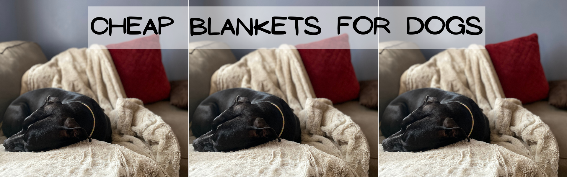 19 of the Best Cheap Blankets for Dogs That We’ve Ever Found Online