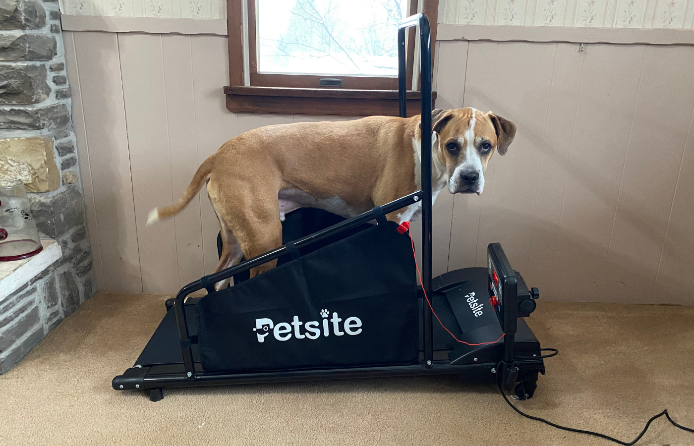 petsite-treadmill-customer-service