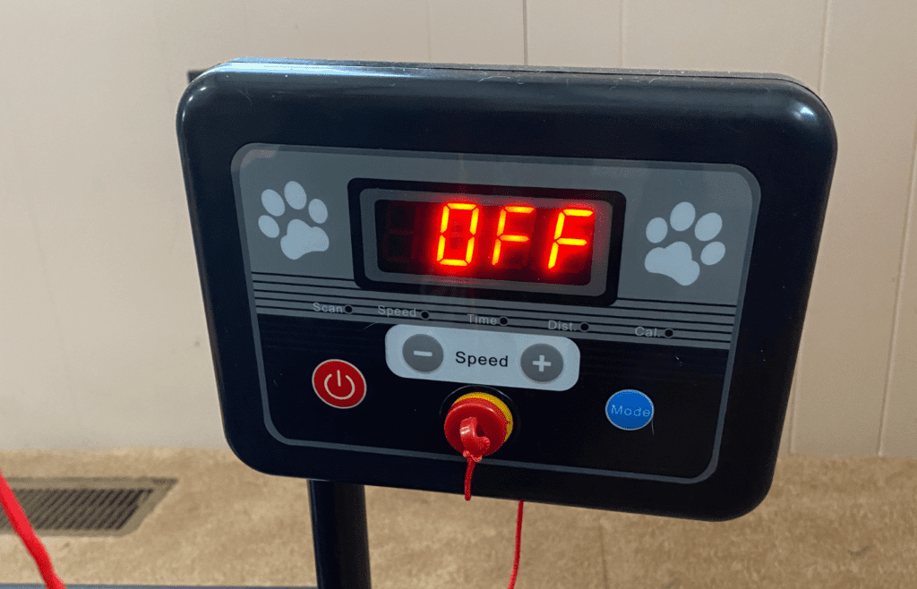 Petsite Treadmill Review