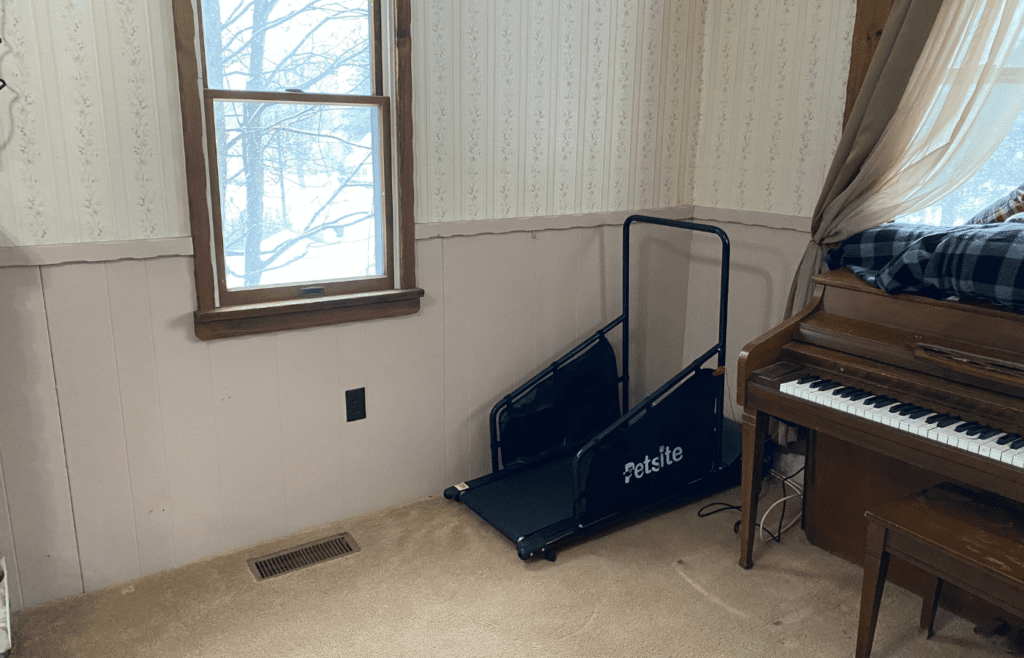 Petsite Treadmill Review