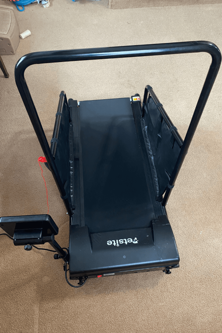 Petsite Treadmill Review