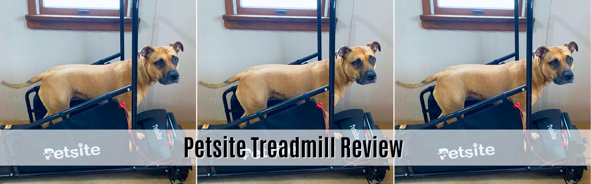 petsite treadmill review