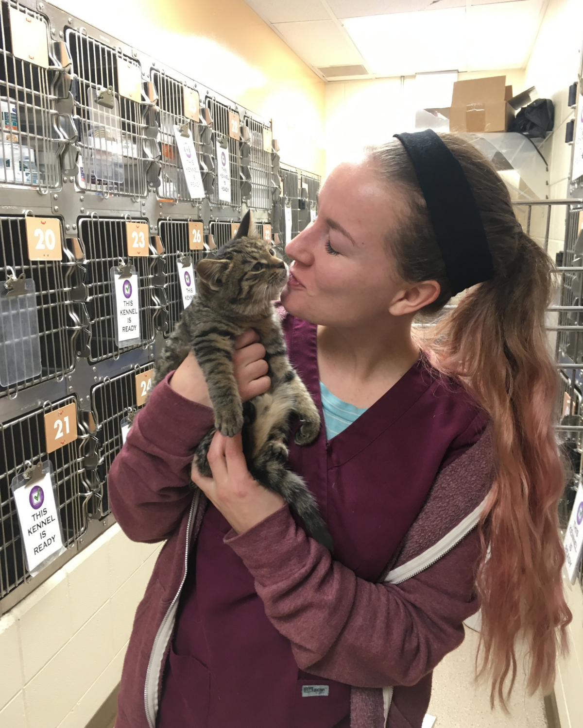 vet tech vs vet assistant