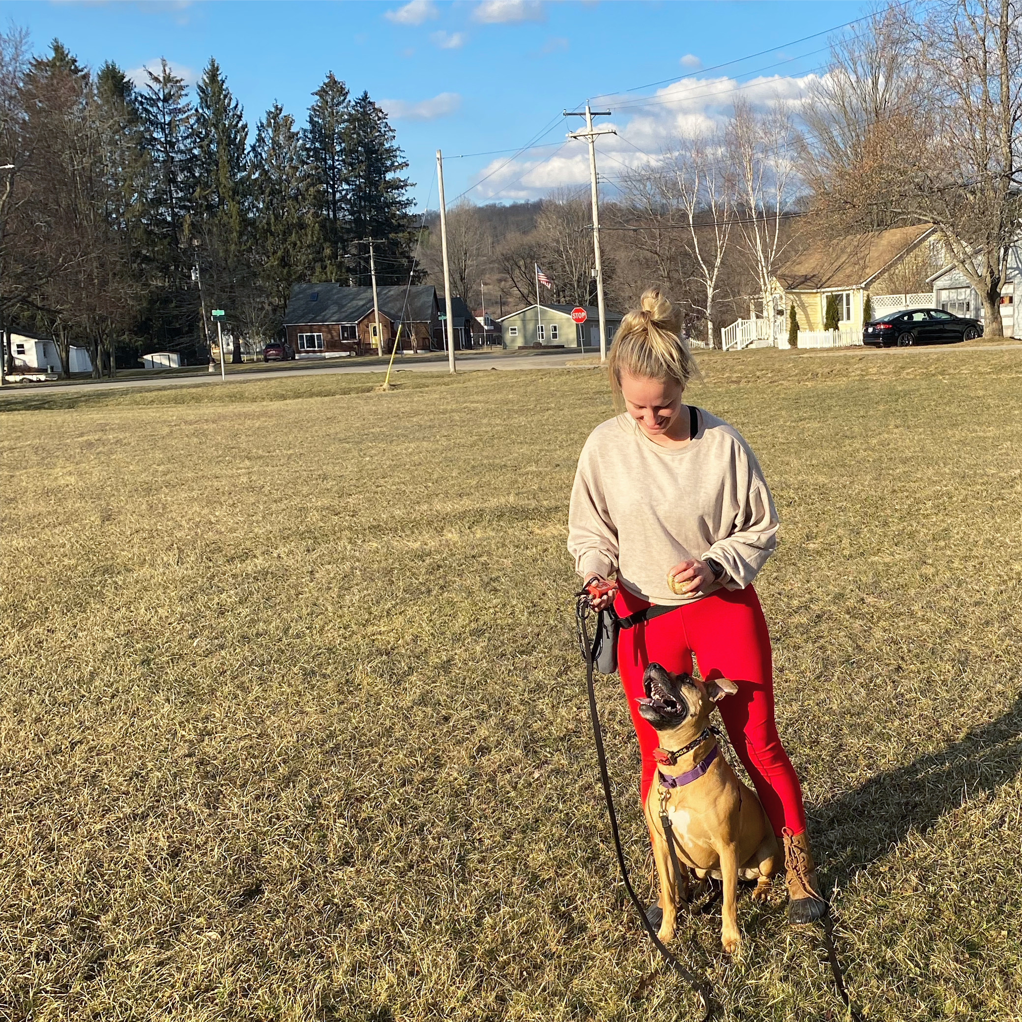 olean kennel club