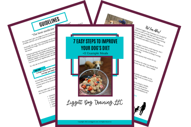 Raw Feeding Dog Guide 7 Easy Steps to Improve Your Dog’s Diet