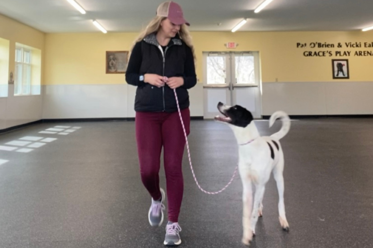 How to Use a Slip Leash