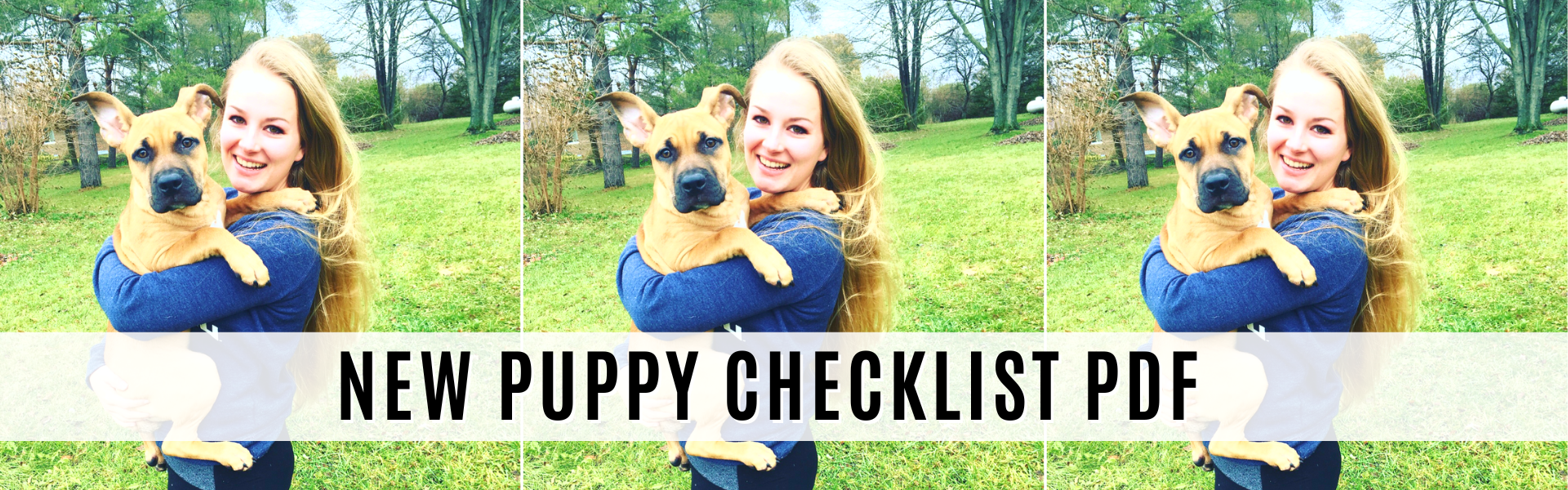 new puppy checklist pdf