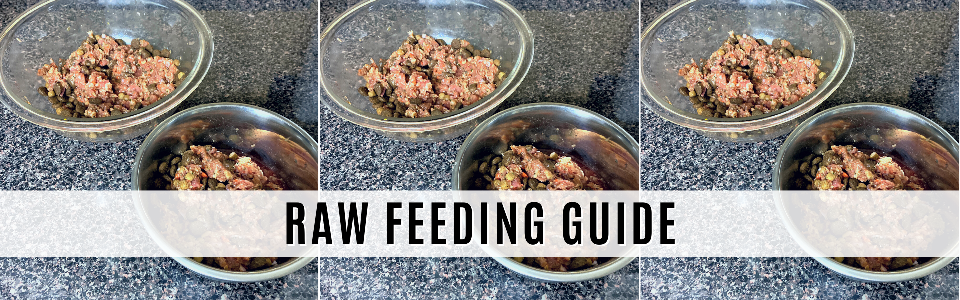 raw feeding guide