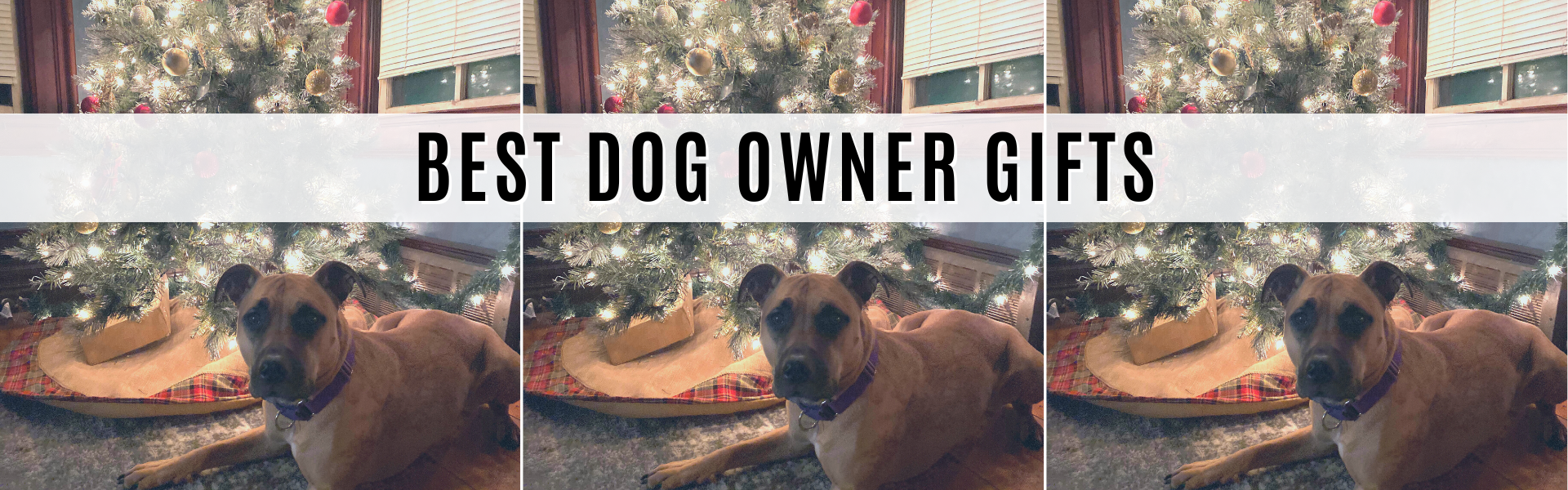 best dog owner gifts