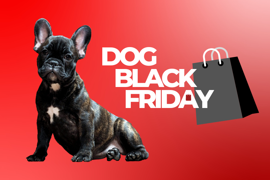 39+ Dog Black Friday Sales You Don’t Want to Miss