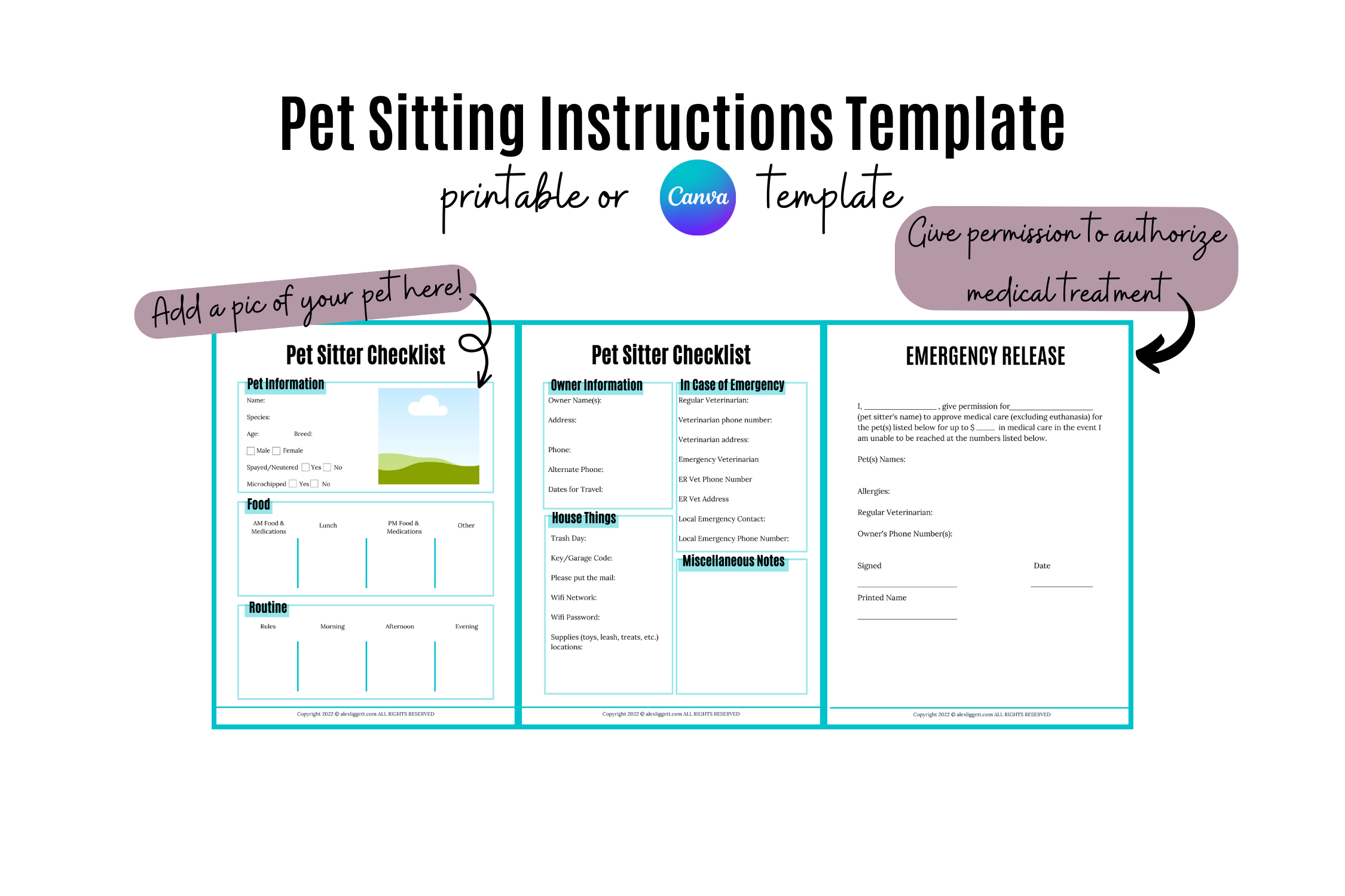 Pet Sitting Instructions Template w/ Medical Release