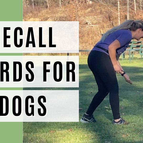 recall words for dogs