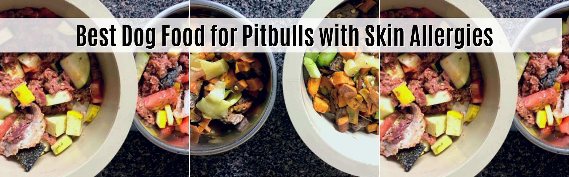 best food for pitbulls with skin allergies