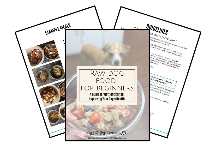 Best Raw Diet For Dogs: 7 FAQs to Help