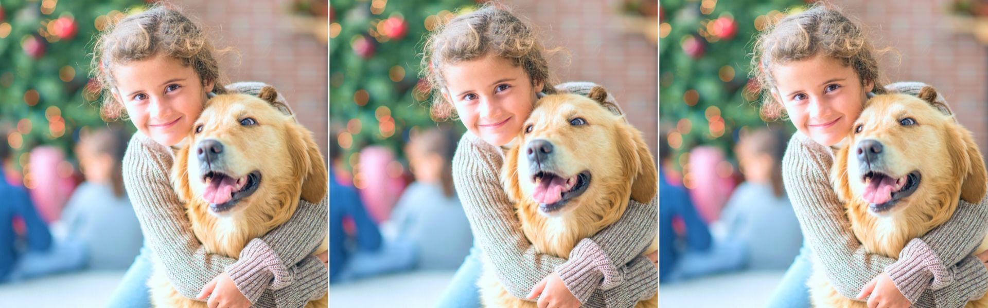 adopting a dog checklist