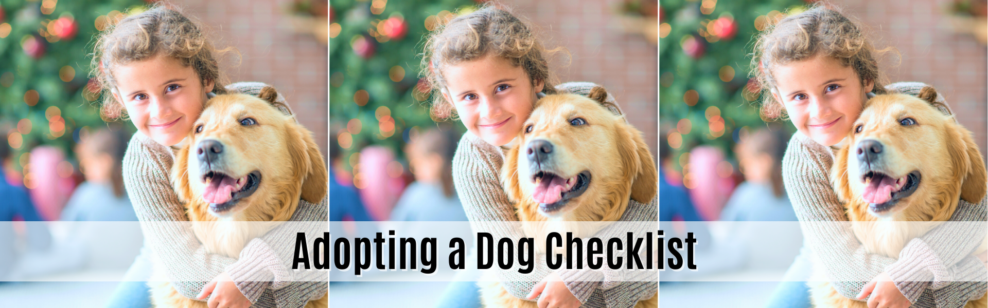 adopting a dog checklist