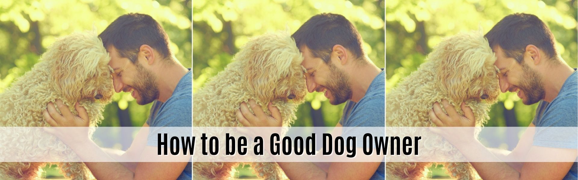 how to be a good dog owner