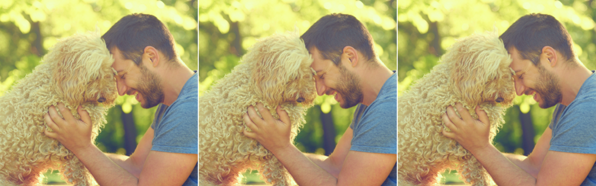 how to be a good dog owner