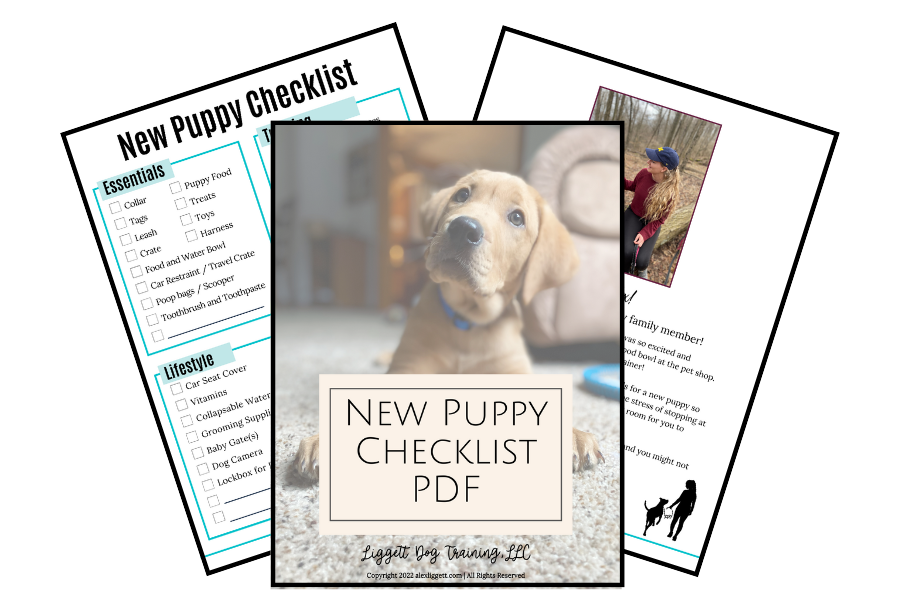 New puppy checklist