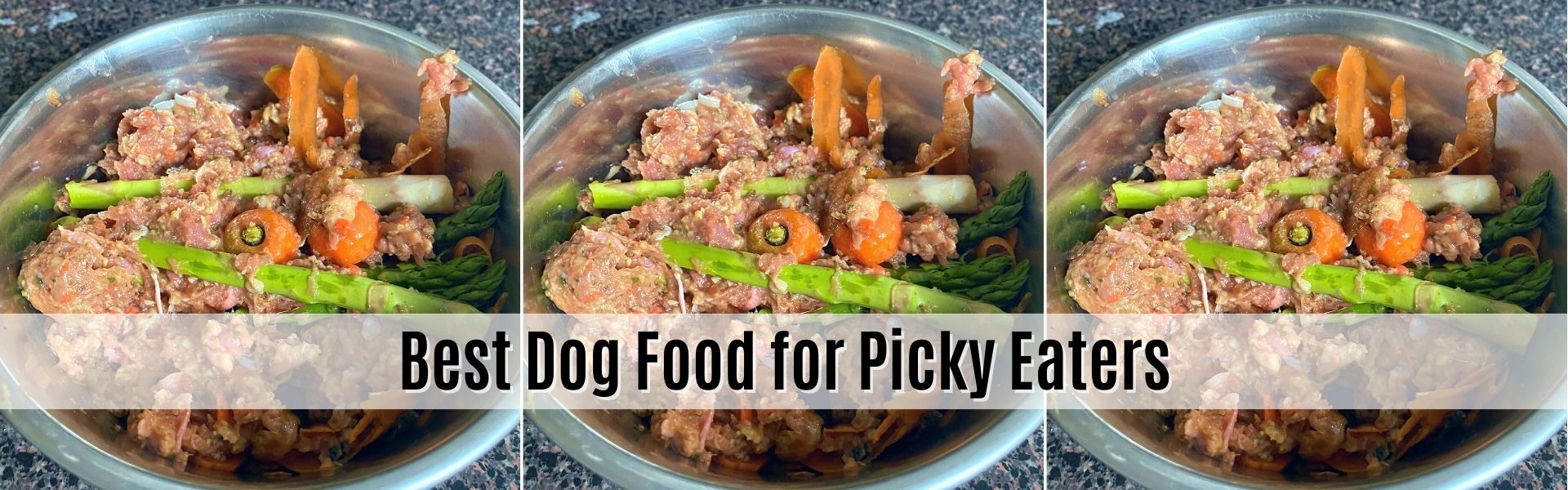 Best Dog Food for Picky Eaters