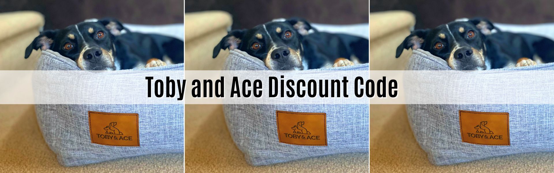 toby and ace discount code