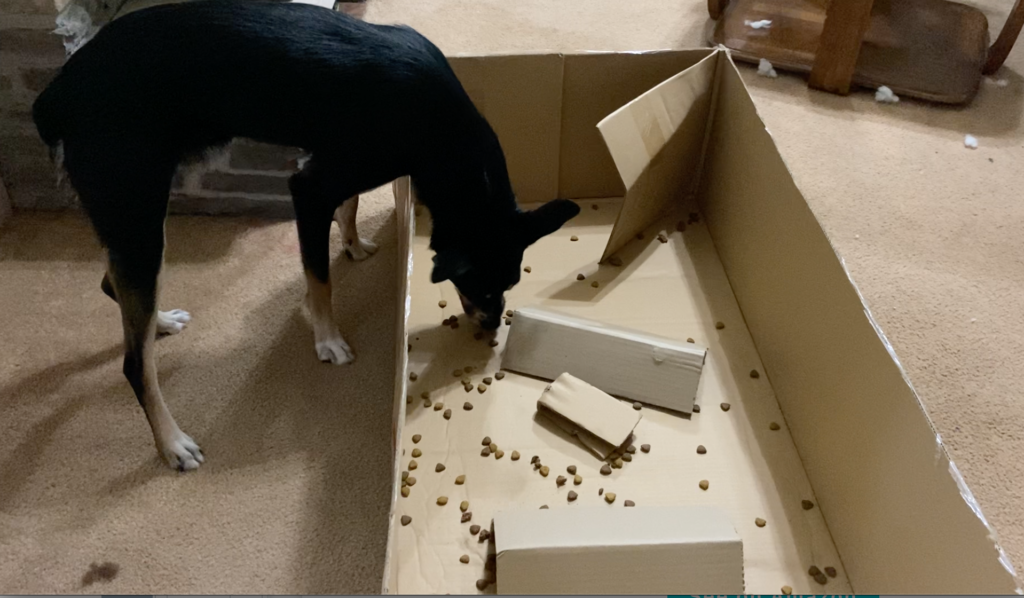 View of Puppy Eats Too Fast! 16+ Ways to Help Your Dog Eat Slower