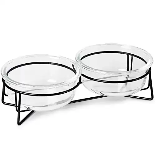 Double Glass Raised Cat or Small Dog Bowls with Metal Stand for Pet Food and Water Dishes , 20 Ounces
