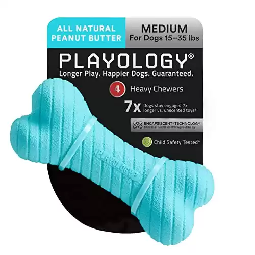 Playology Dual Layer Bone Dog Toyfor Heavy Chewers - Engaging All-Natural Peanut Butter Scented Toy