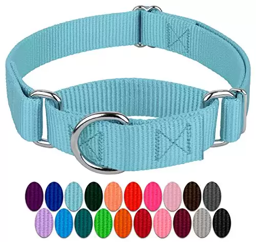 Martingale Nylon Dog Collar - 21 Vibrant Color Options (1 Inch Width, Medium)