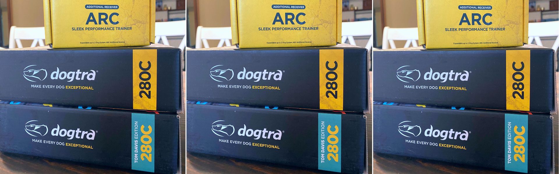 best dogtra training collars