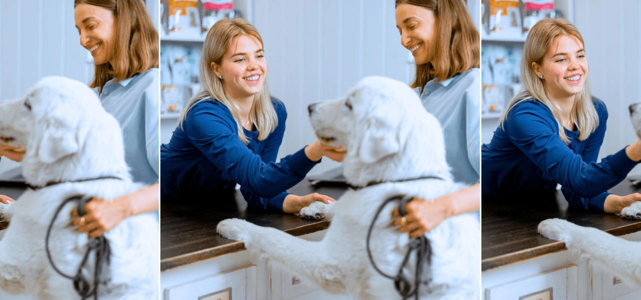 vet clinic jobs