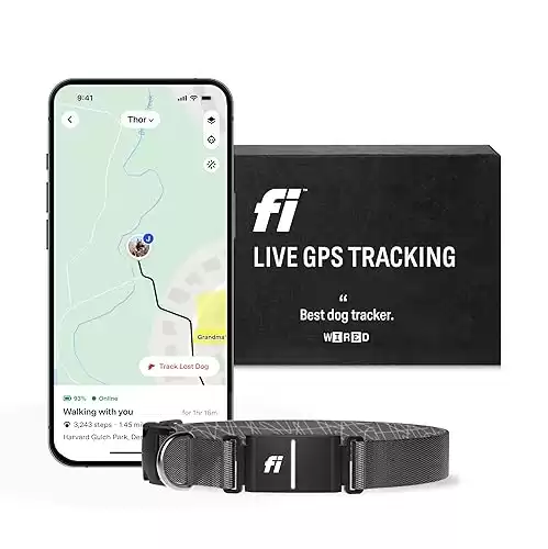 Fi Series 3 Smart Dog Collar - GPS Dog Tracker and Activity & Fitness Monitor, Waterproof, LED Light, Escape Alerts, Nationwide Coverage [Free 1 Year Membership] (Gray, Large)