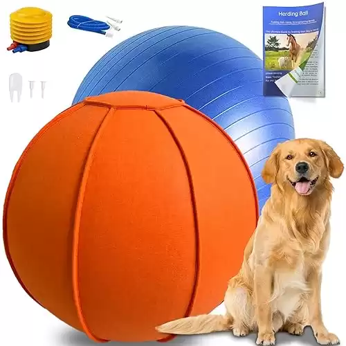 Herding Ball for Dogs, 25"