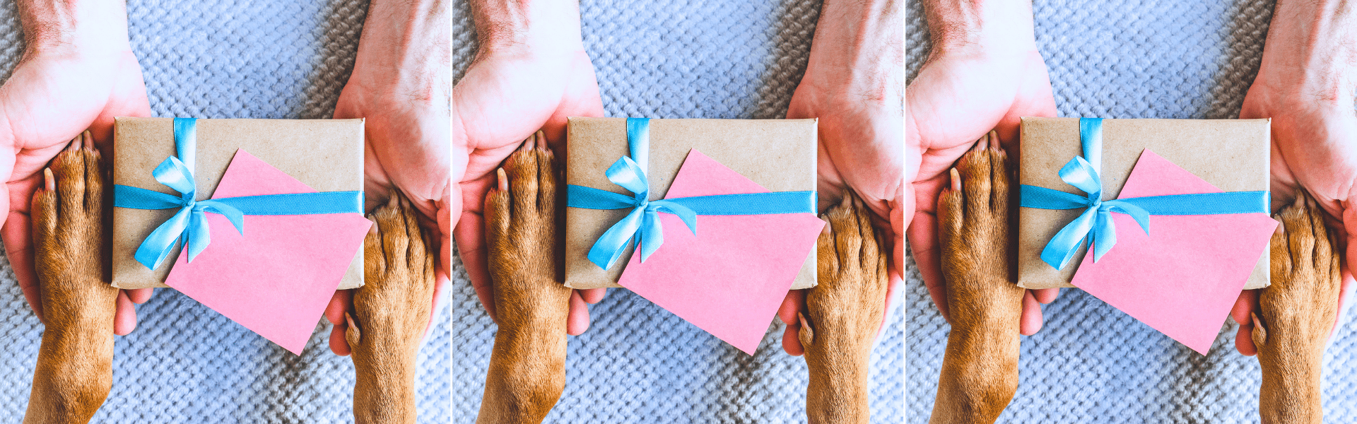 gift for dog trainer