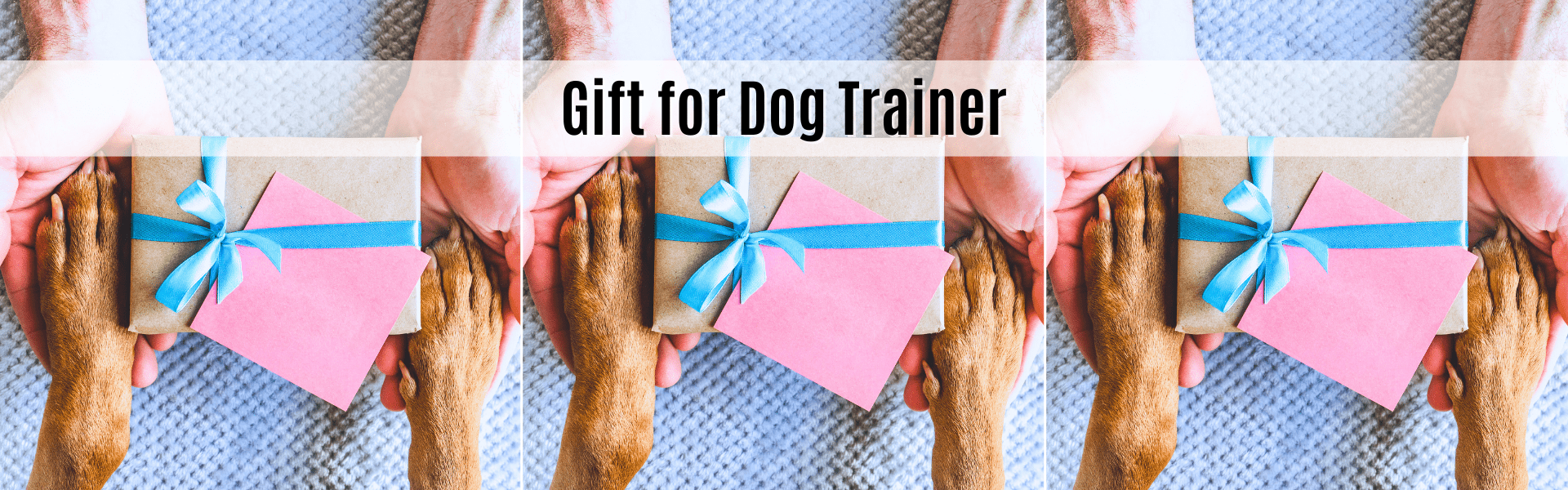 gift for dog trainer