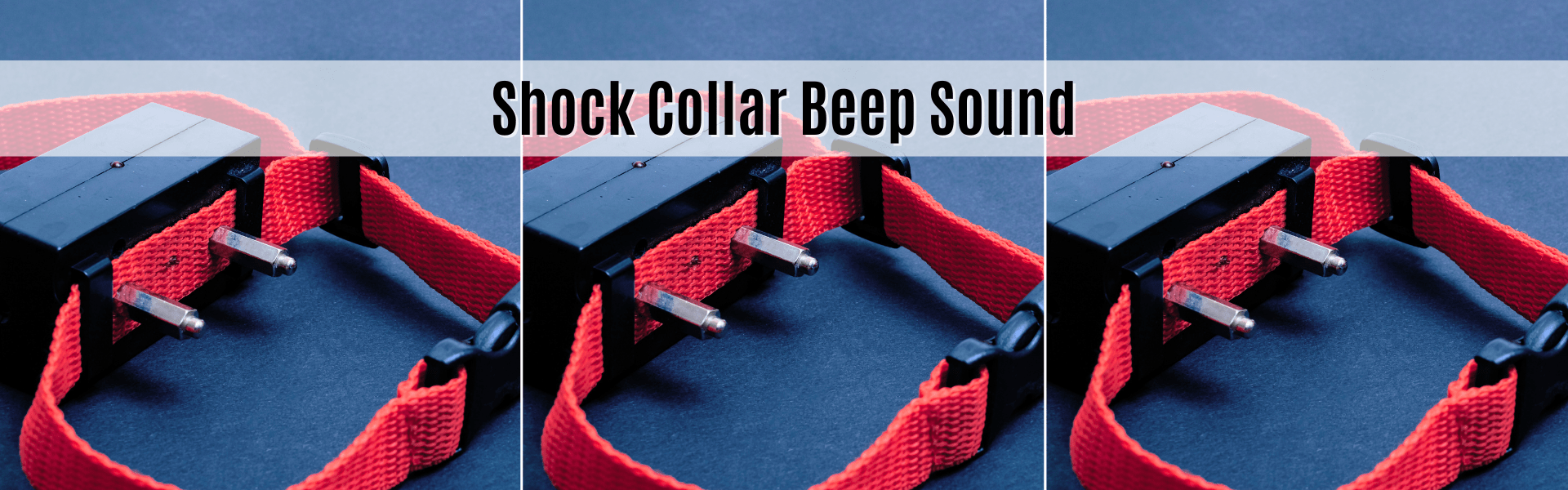 shock collar beep sound