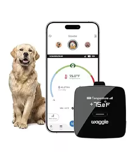 Waggle RV/Pet Safety Temperature Monitor - Lite | 4G LTE | Instant Power Outage/Temp/Humidity Alerts for RVers & Home