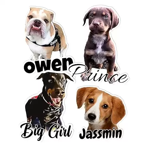 Custom Photo Pet Sticker Personalized Your Pet Photo Dog Cat Name Sticker Die Cut Waterproof Vinyl Sticker