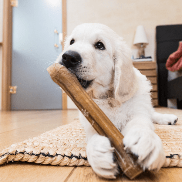 best chews for puppies