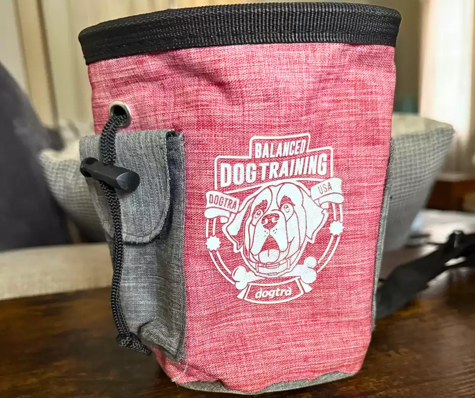 Dogtra Training Pouch