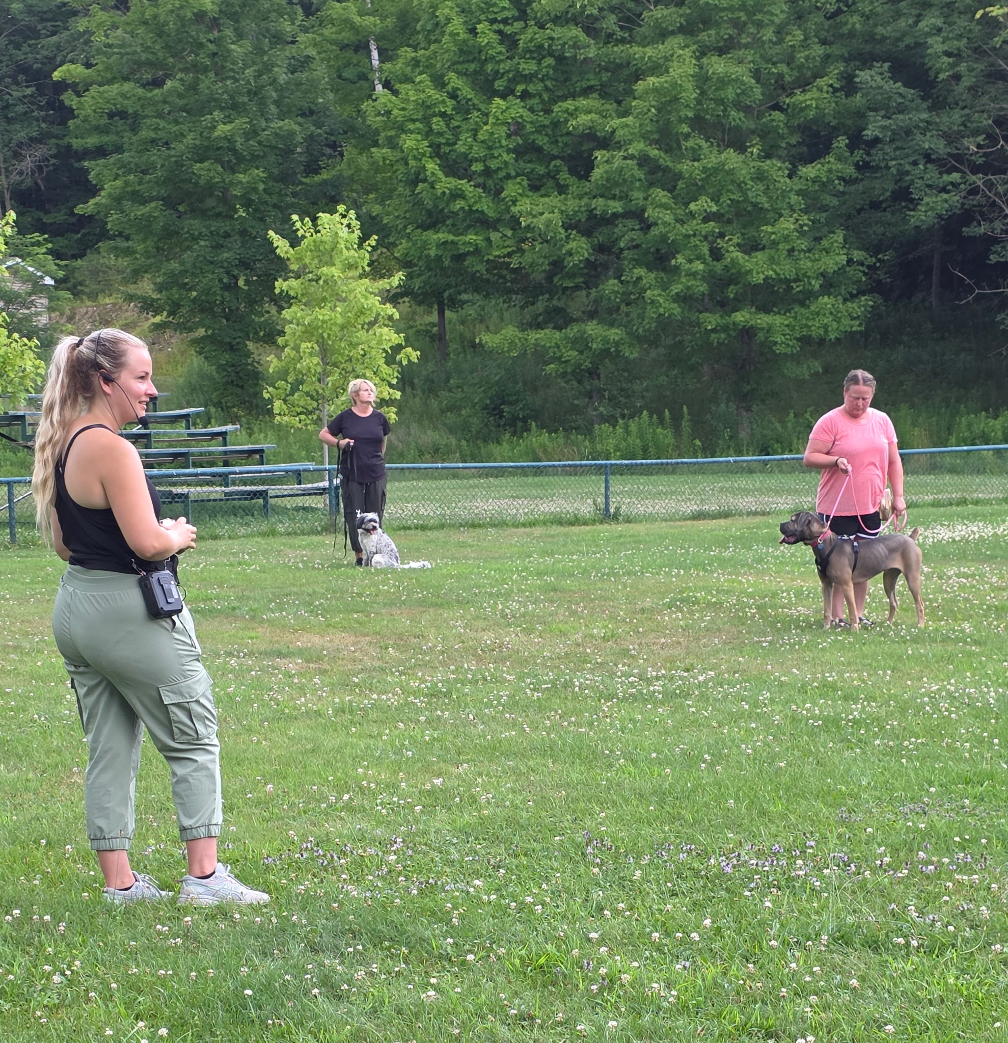 liggett dog training group class